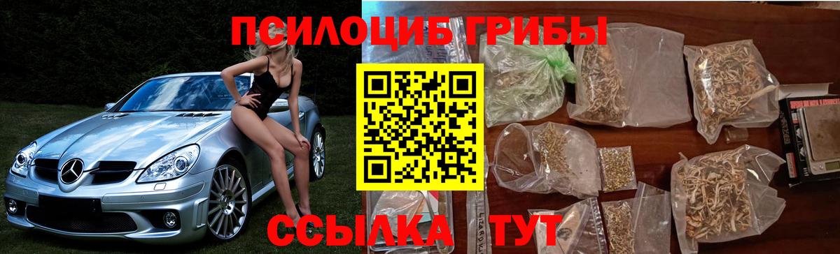 Псилоцибиновые грибы Cubensis Баксан